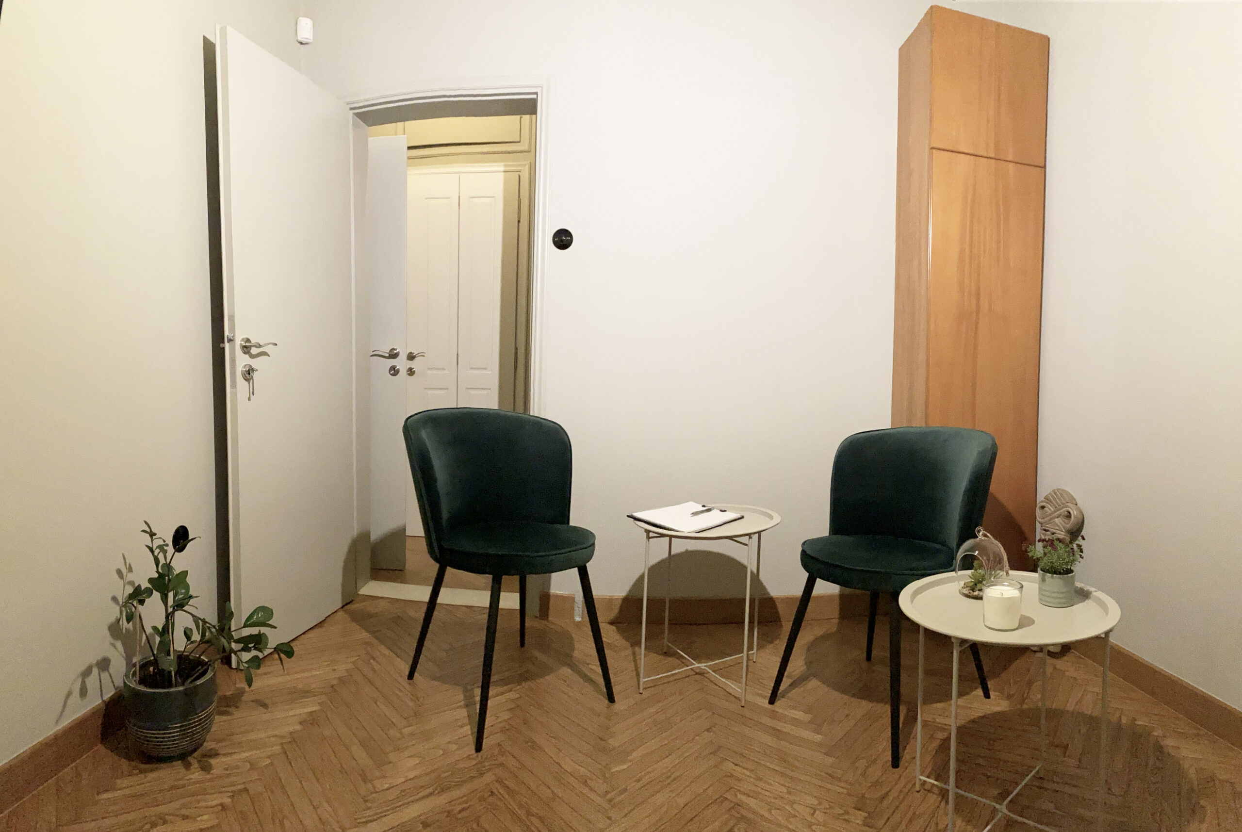 Ψυχολόγος-Ψυχοθεραπεύτρια